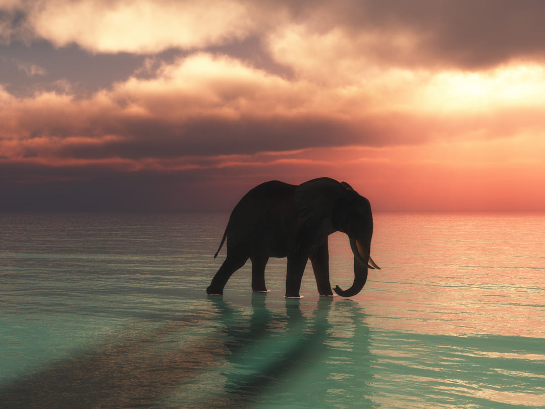 Compromiso ambiental: Ficohsa se une a United for Wildlife